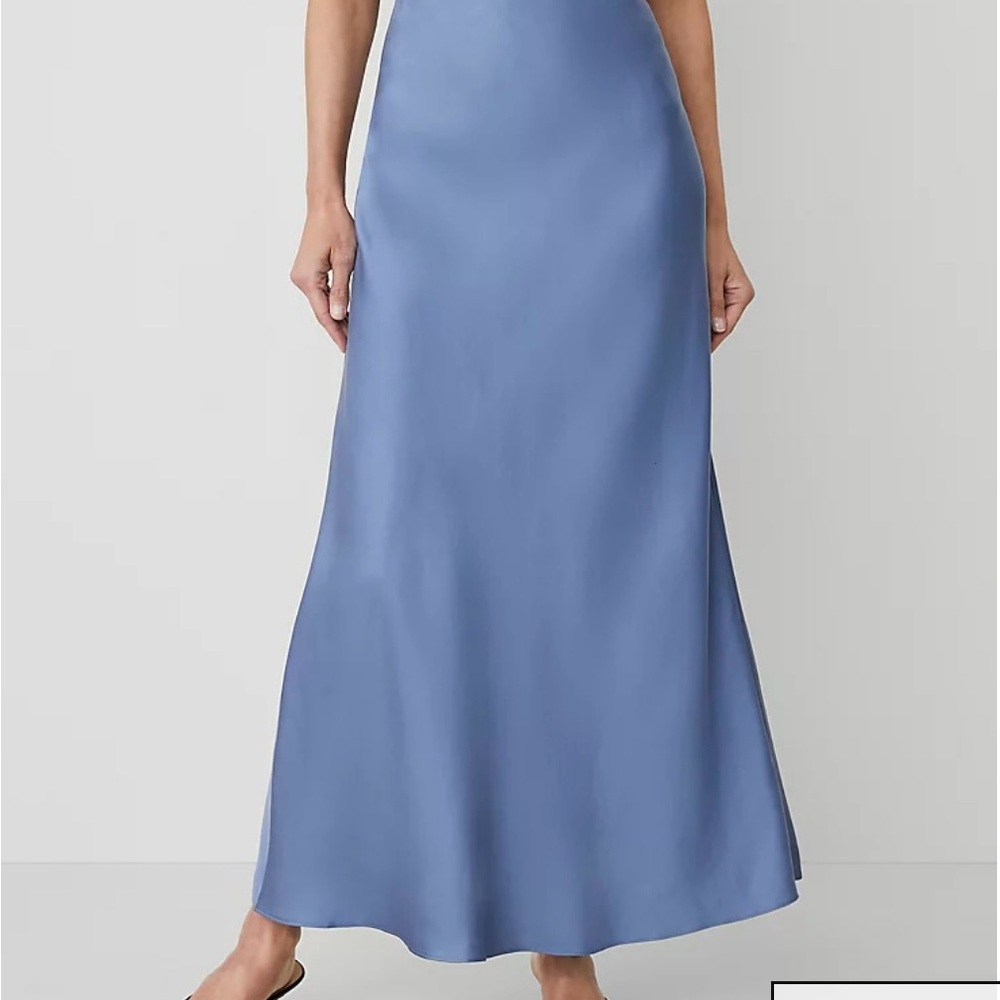 Ann Taylor Soft Blue Maxi Skirt - Picture 2 of 7